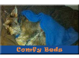 Comfy Beds