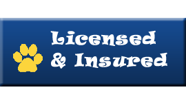 Licensed and Insured
