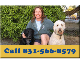 Call us at 831-566-8579